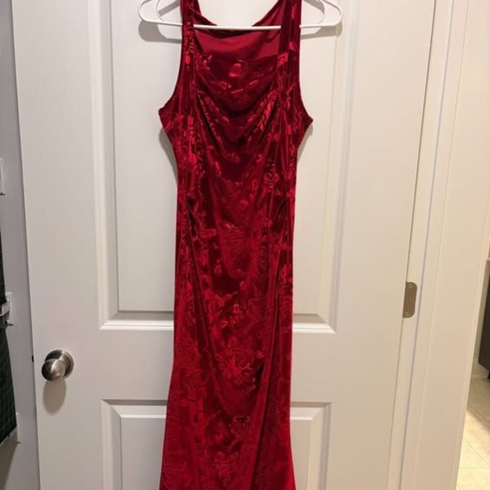 Burgundy Velvet Rose Print Sleeveless Maxi Dress